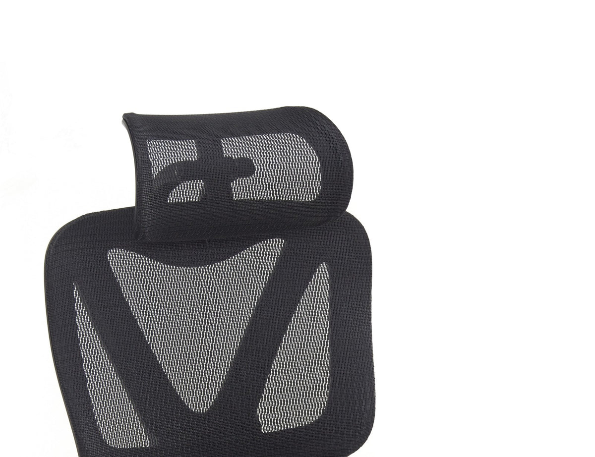 SEATZONE HD-12 Mesh & Leather Ergonomic Office Chair, Black